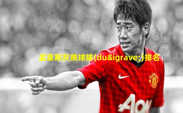 孟菲斯灰熊球隊(duì)排名