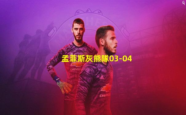 孟菲斯灰熊隊03-04
